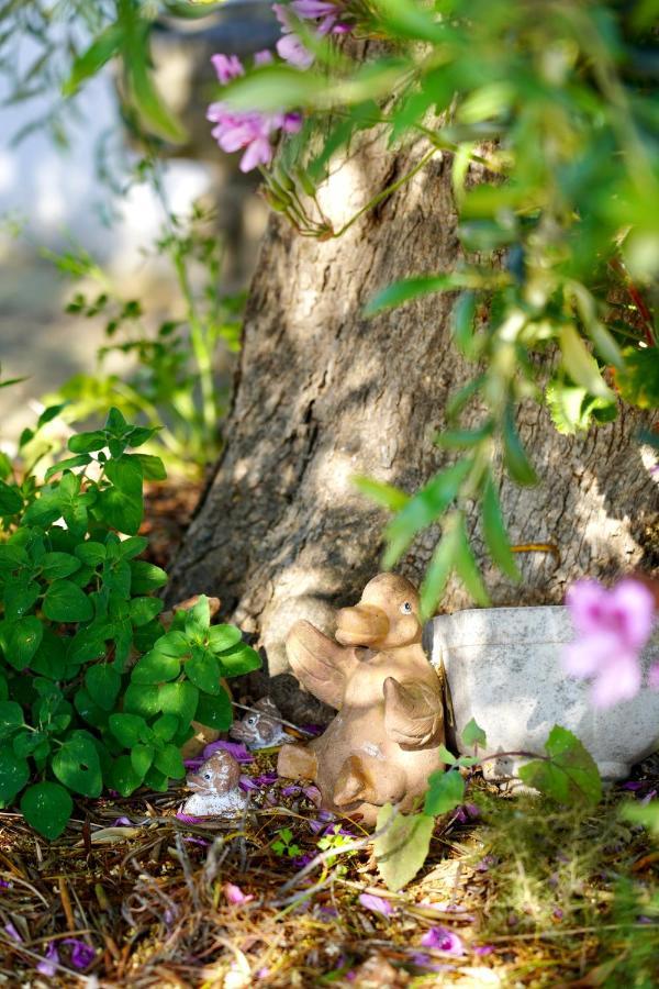 Il Giardino Leilighet Ostuni Eksteriør bilde