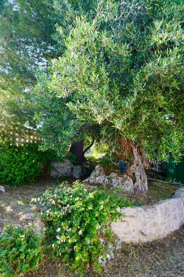 Il Giardino Leilighet Ostuni Eksteriør bilde